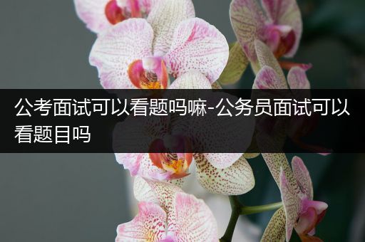 公考面试可以看题吗嘛-公务员面试可以看题目吗