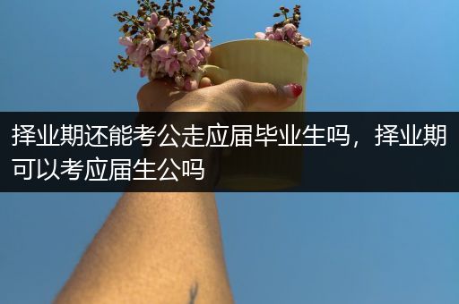 择业期还能考公走应届毕业生吗，择业期可以考应届生公吗