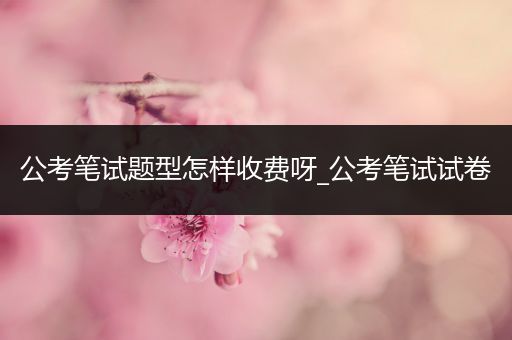 公考笔试题型怎样收费呀_公考笔试试卷