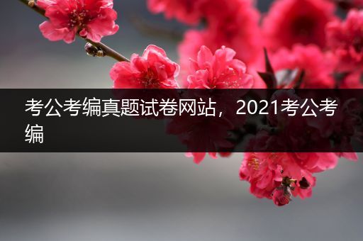 考公考编真题试卷网站，2021考公考编