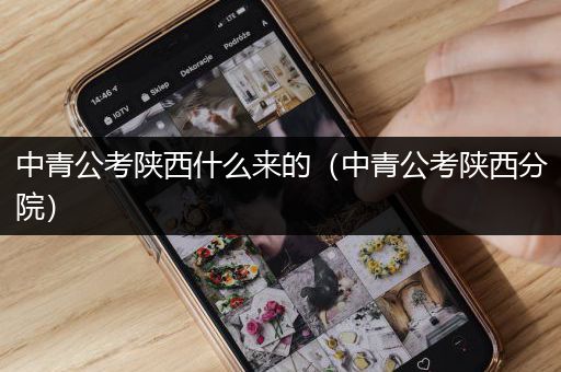 中青公考陕西什么来的（中青公考陕西分院）