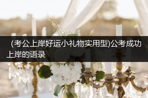 （考公上岸好运小礼物实用型)公考成功上岸的语录