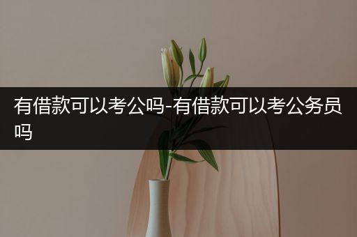 有借款可以考公吗-有借款可以考公务员吗