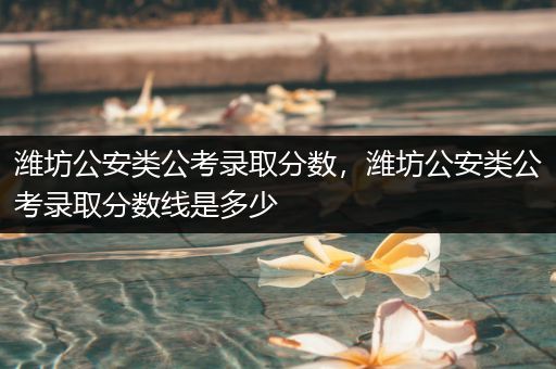 潍坊公安类公考录取分数，潍坊公安类公考录取分数线是多少