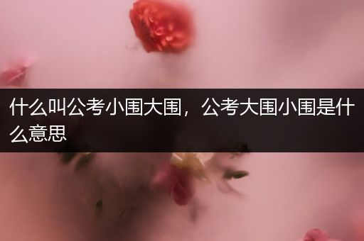 什么叫公考小围大围，公考大围小围是什么意思