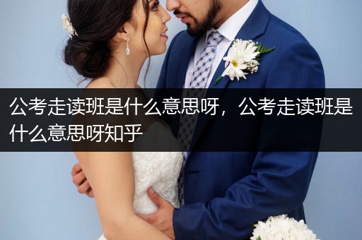 公考走读班是什么意思呀，公考走读班是什么意思呀知乎