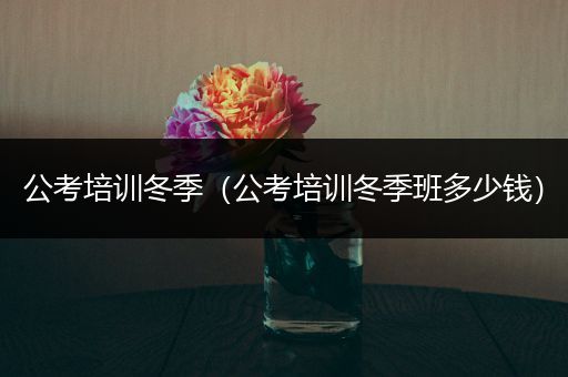 公考培训冬季（公考培训冬季班多少钱）