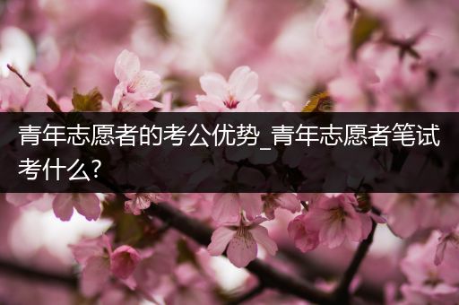 青年志愿者的考公优势_青年志愿者笔试考什么?