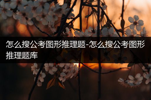 怎么搜公考图形推理题-怎么搜公考图形推理题库