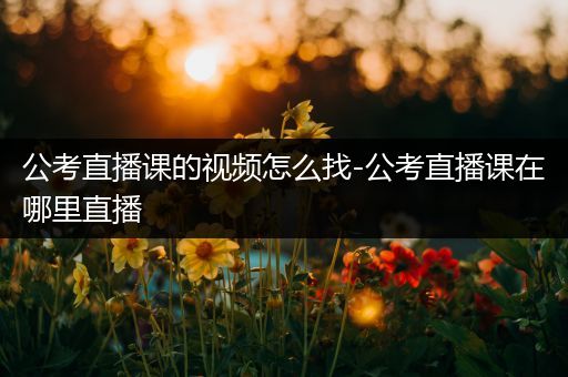 公考直播课的视频怎么找-公考直播课在哪里直播