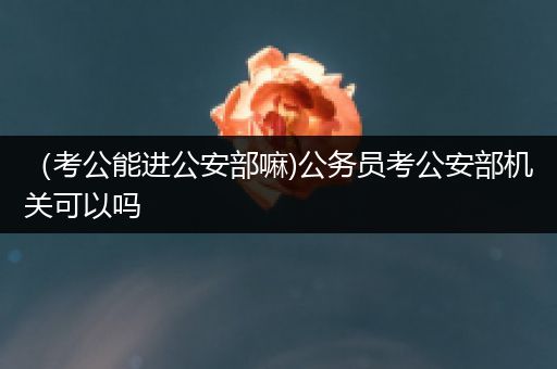 （考公能进公安部嘛)公务员考公安部机关可以吗