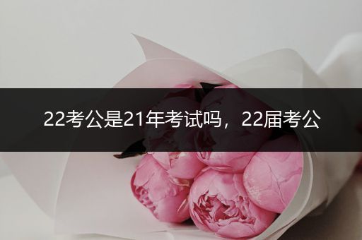 22考公是21年考试吗，22届考公