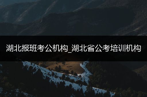 湖北报班考公机构_湖北省公考培训机构