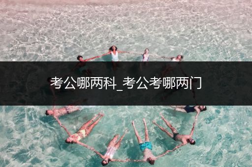 考公哪两科_考公考哪两门