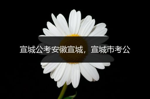 宣城公考安徽宣城，宣城市考公