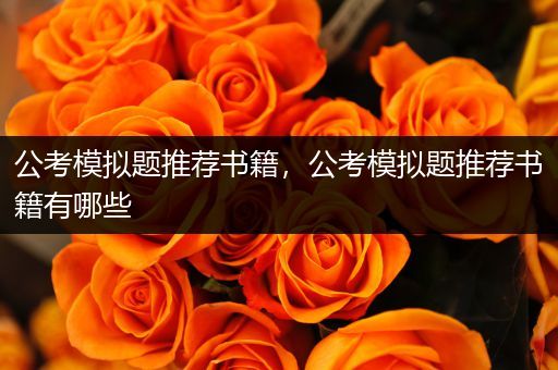 公考模拟题推荐书籍，公考模拟题推荐书籍有哪些
