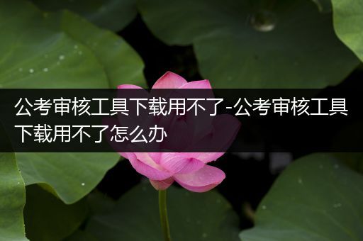 公考审核工具下载用不了-公考审核工具下载用不了怎么办