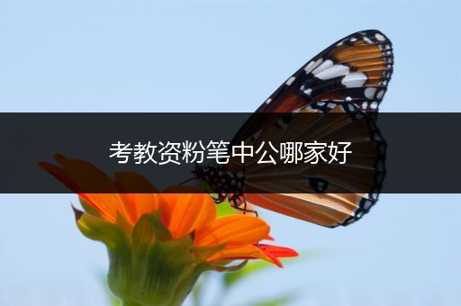 考教资粉笔中公哪家好