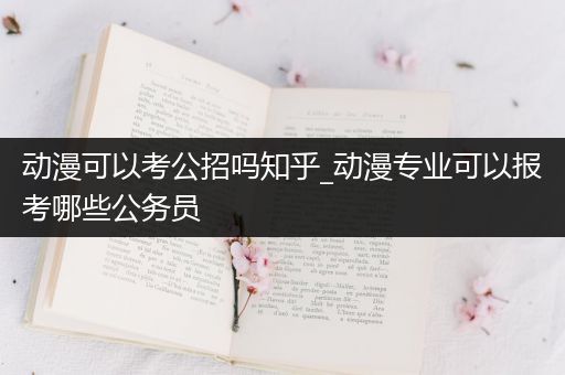 动漫可以考公招吗知乎_动漫专业可以报考哪些公务员