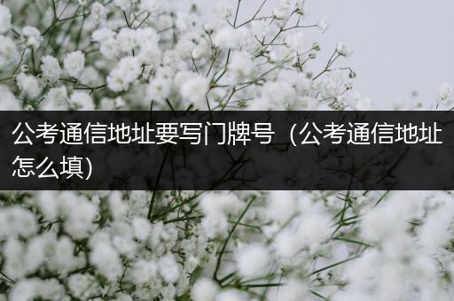 公考通信地址要写门牌号（公考通信地址怎么填）