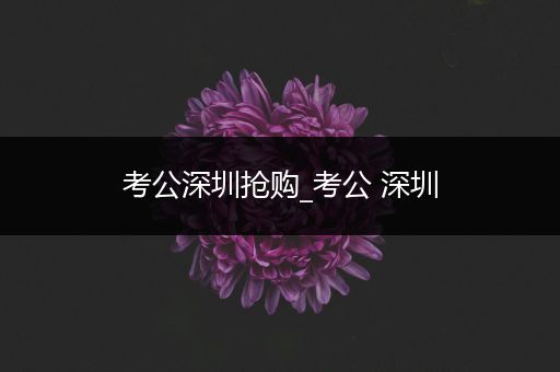 考公深圳抢购_考公 深圳