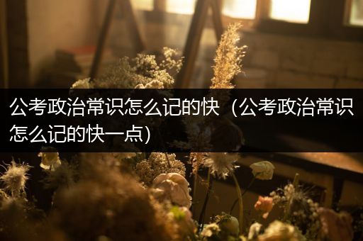 公考政治常识怎么记的快（公考政治常识怎么记的快一点）
