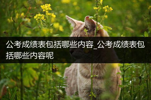 公考成绩表包括哪些内容_公考成绩表包括哪些内容呢