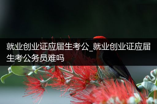 就业创业证应届生考公_就业创业证应届生考公务员难吗