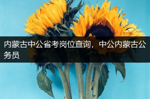 内蒙古中公省考岗位查询，中公内蒙古公务员