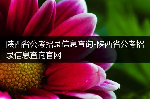 陕西省公考招录信息查询-陕西省公考招录信息查询官网