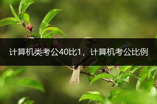 计算机类考公40比1，计算机考公比例