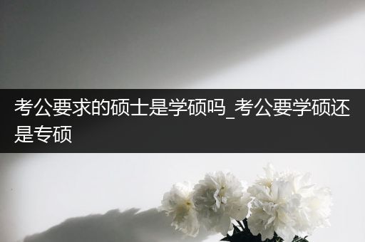 考公要求的硕士是学硕吗_考公要学硕还是专硕