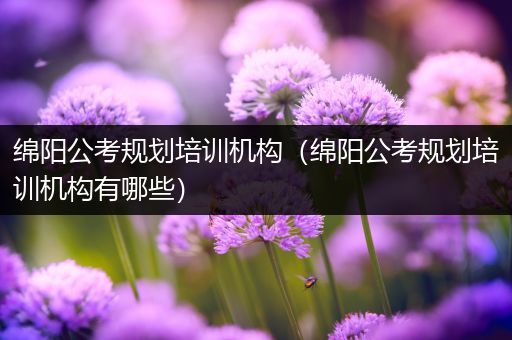 绵阳公考规划培训机构（绵阳公考规划培训机构有哪些）