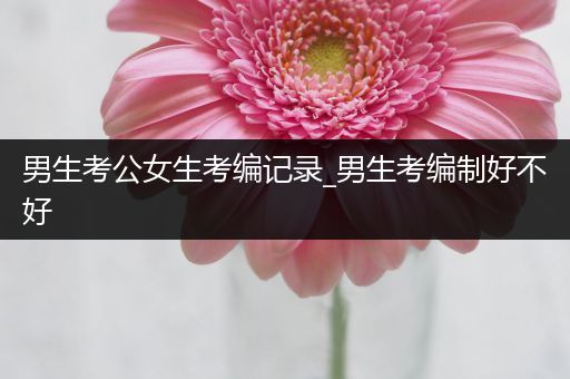男生考公女生考编记录_男生考编制好不好