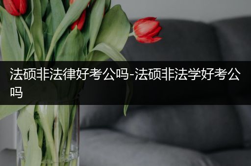 法硕非法律好考公吗-法硕非法学好考公吗