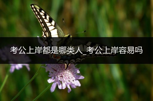 考公上岸都是哪类人_考公上岸容易吗