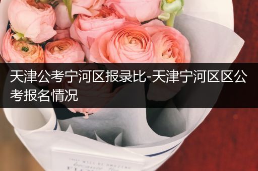 天津公考宁河区报录比-天津宁河区区公考报名情况