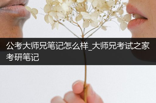 公考大师兄笔记怎么样_大师兄考试之家考研笔记
