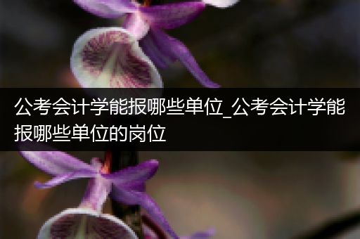 公考会计学能报哪些单位_公考会计学能报哪些单位的岗位
