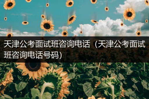 天津公考面试班咨询电话（天津公考面试班咨询电话号码）
