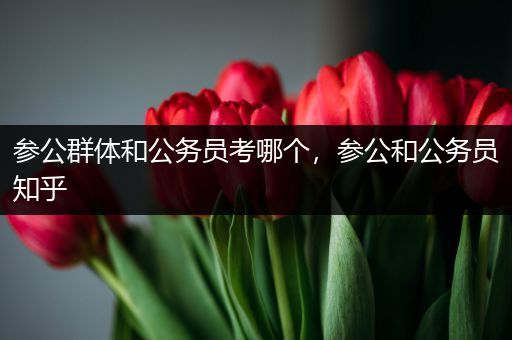 参公群体和公务员考哪个，参公和公务员知乎