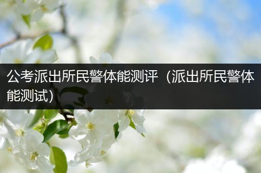 公考派出所民警体能测评（派出所民警体能测试）