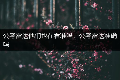 公考雷达他们也在看准吗，公考雷达准确吗