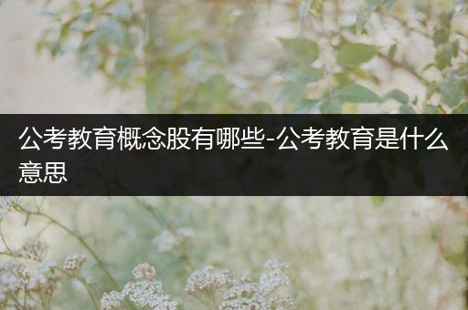 公考教育概念股有哪些-公考教育是什么意思