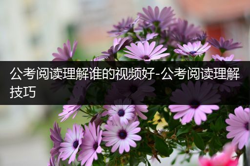 公考阅读理解谁的视频好-公考阅读理解技巧