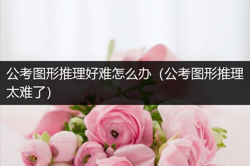公考图形推理好难怎么办（公考图形推理太难了）