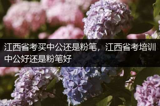江西省考买中公还是粉笔，江西省考培训中公好还是粉笔好