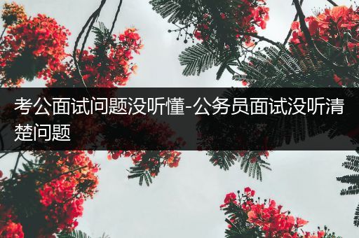 考公面试问题没听懂-公务员面试没听清楚问题