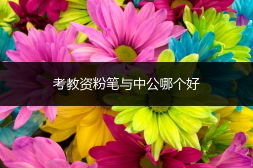 考教资粉笔与中公哪个好