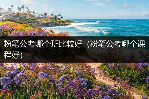 粉笔公考哪个班比较好（粉笔公考哪个课程好）